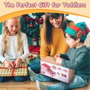 Montessori Toys for 1 Year Old, 4 in 1 Wooden Toys for Baby Boy Girl, Object Permanence Box, Color&Shape Sorting Learning Matchi