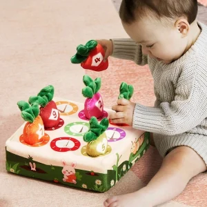 Baby Montessori Toy Toddler Fine Motor Skills Training Color Learning Educational Toys For Children Sensory Activity Plush Toys